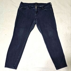 Torrid Stretch Jeans - Sz 20R